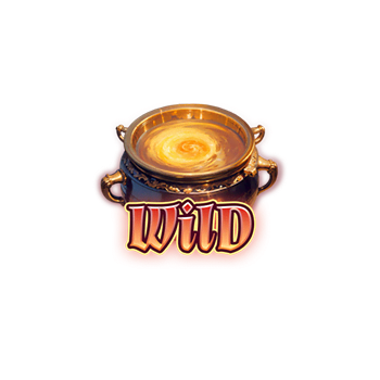 สัญลักษณ์ Wild
